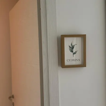 Casa Botanya Pensión